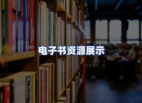 电子书资源展示